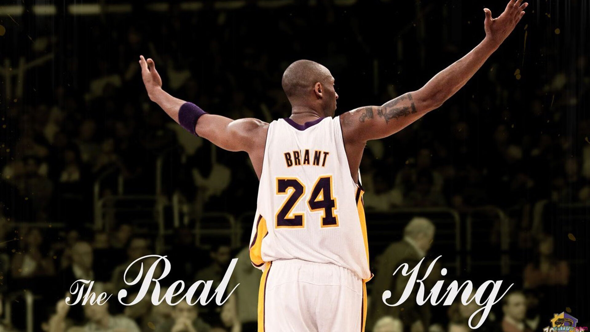 青少年“极限篮球”挑战赛在重庆精彩启幕，追求极致激情，重庆青少年篮球比赛