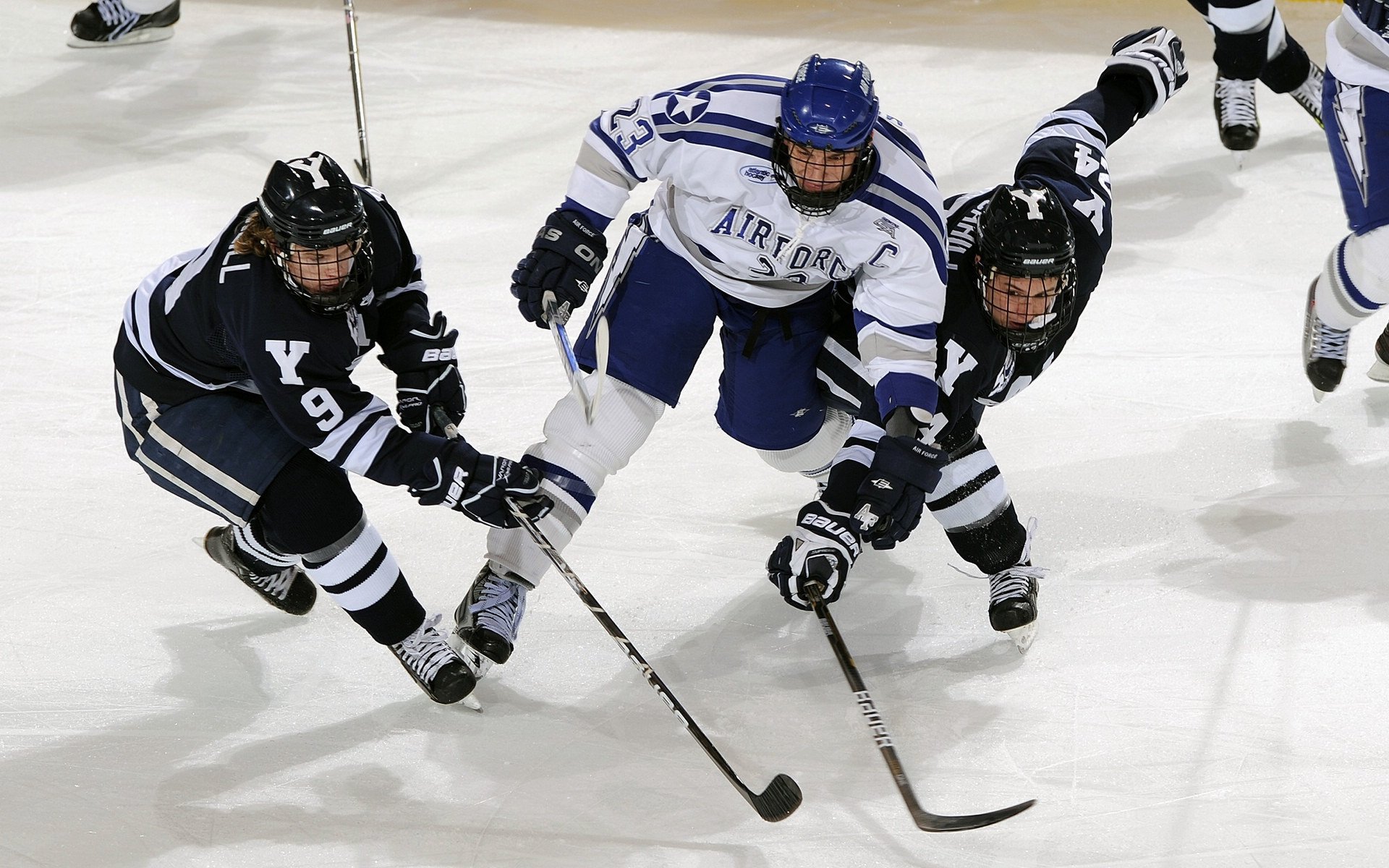 -黄蜂队社区中心落成，提供青少年运动资源，黄蜂队百度百科